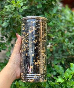 RONG BIỂN CHÁY TỎI 200G