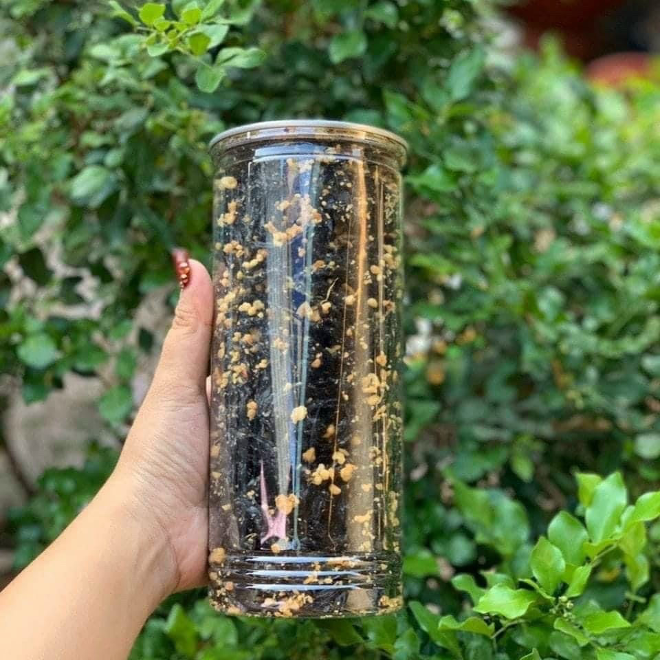 RONG BIỂN CHÁY TỎI 200G