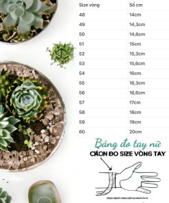 BỘ TRANG SỨC NGỌC TRAI NUÔI