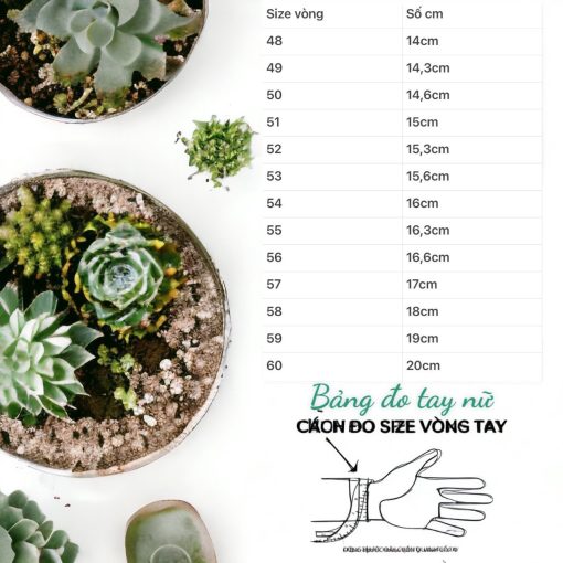BỘ TRANG SỨC NGỌC TRAI NUÔI