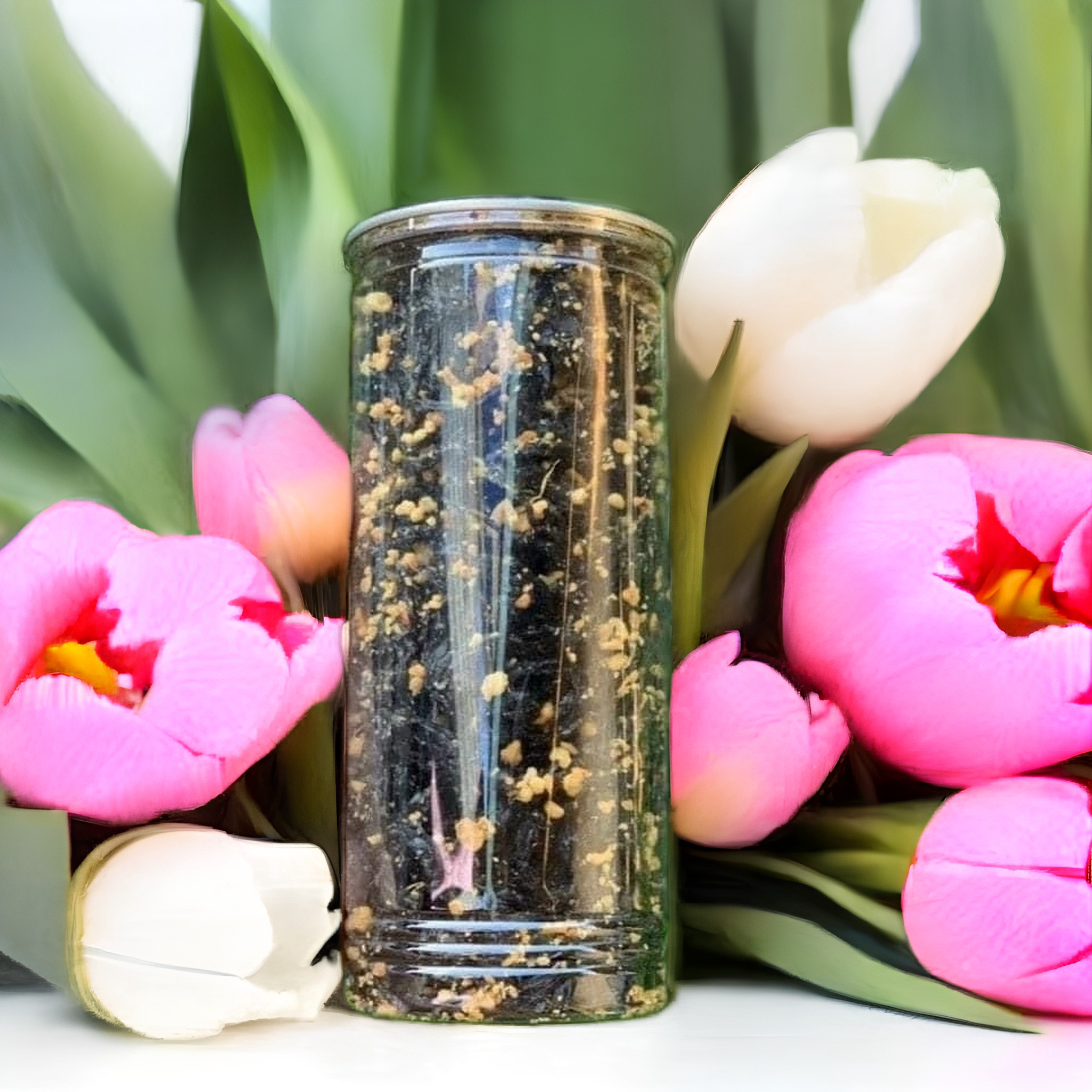 RONG BIỂN CHÁY TỎI 200G