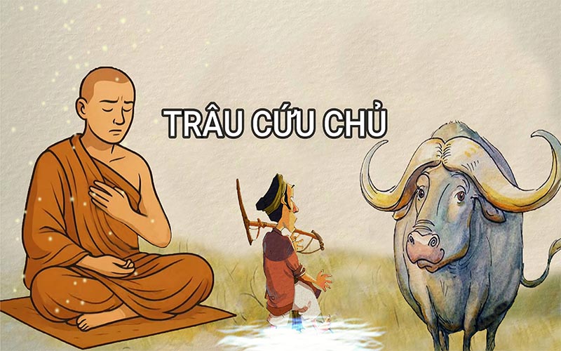 TRÂU ĐEN TRẢ NỢ TIỀN KIẾP